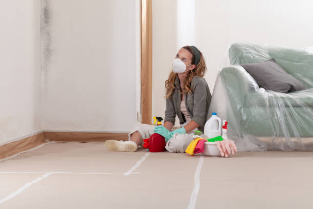 Reliable Mold Cleanup contractor in Conroe, TX by Cheap Mold Removal